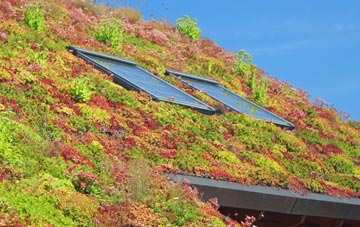 Ponthir living roof systems