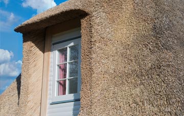 Ponthir thatch roof disadvantages